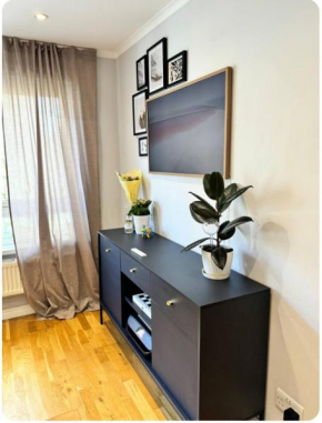 Two Bedroom Flat in the Heart of London